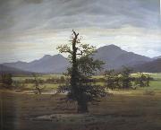 Caspar David Friedrich, Landscape with Solitary Tree (mk10)